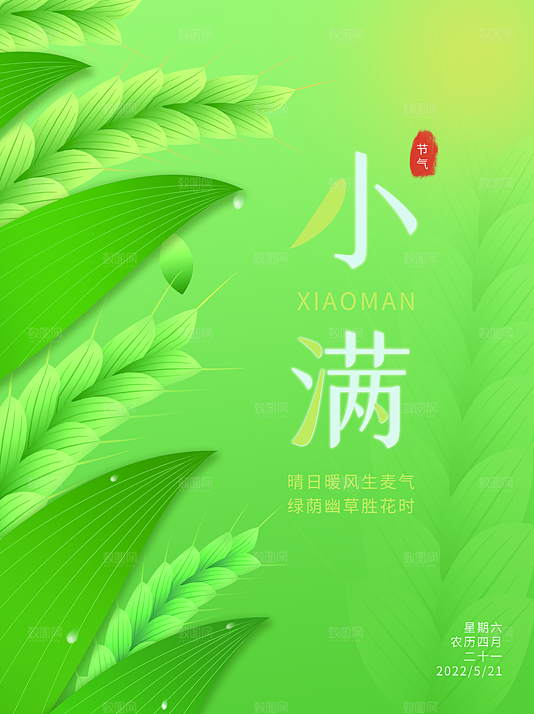 小满节气简约大气海报