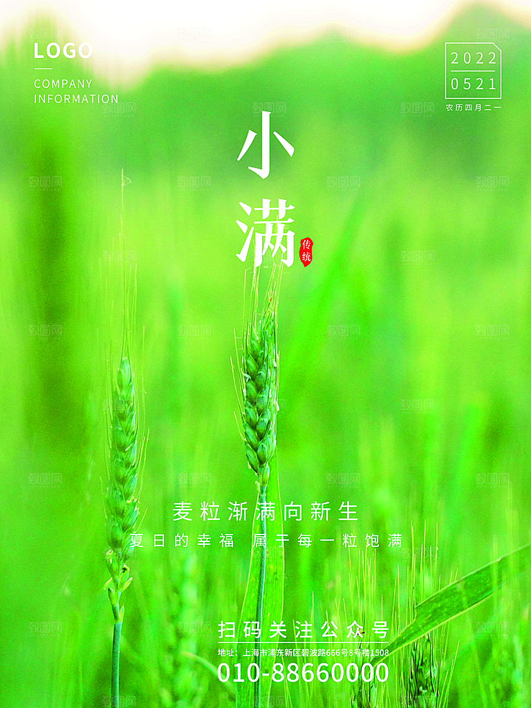 小满节气简约大气海报