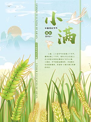 小满节气简约大气海报