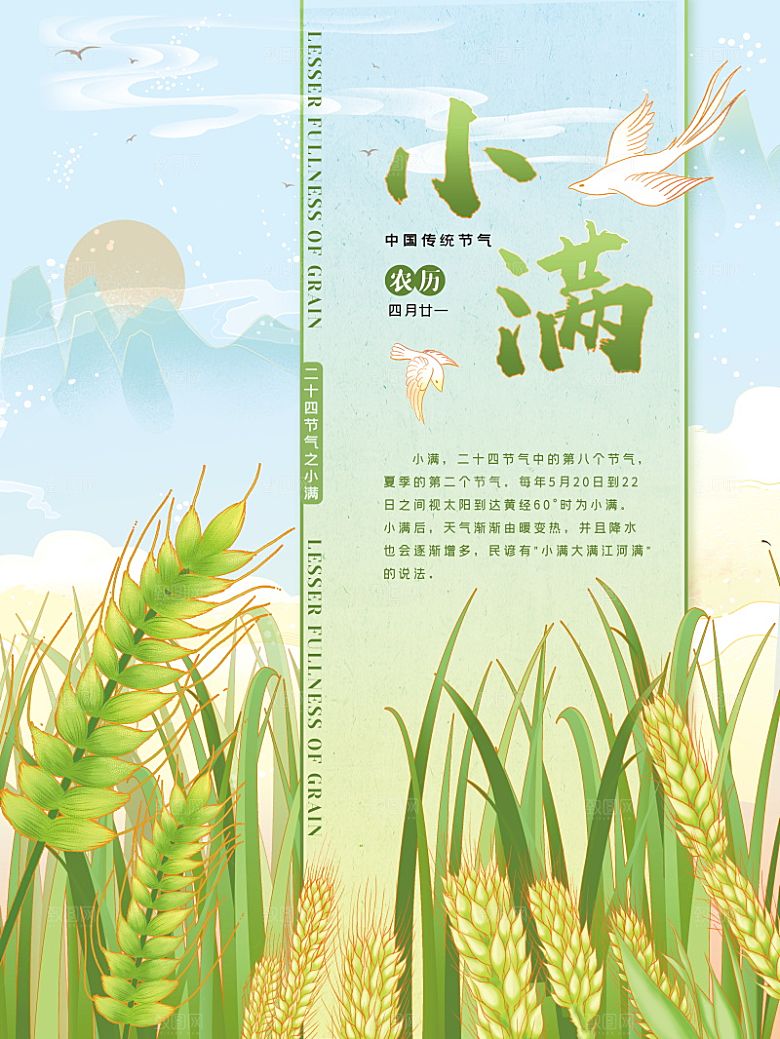 小满节气简约大气海报