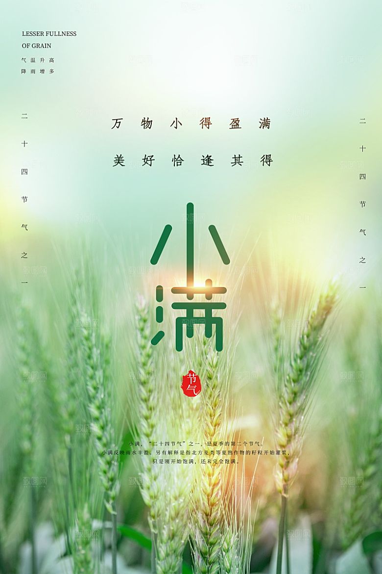 小满节气简约大气海报