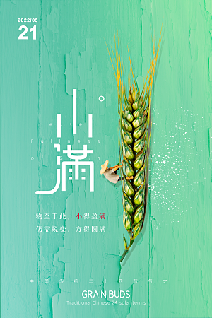 传统节气小满海报模版