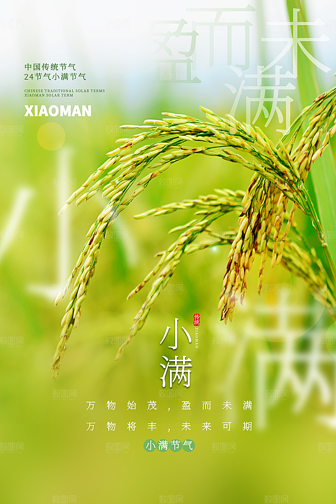 小满节气简约大气海报
