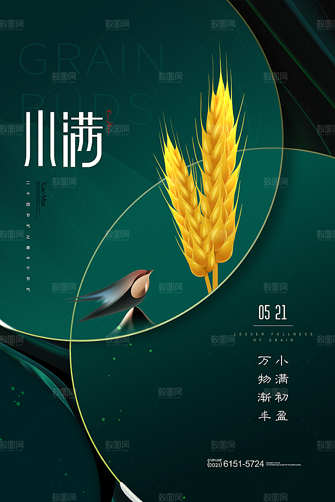 小满节气简约大气海报
