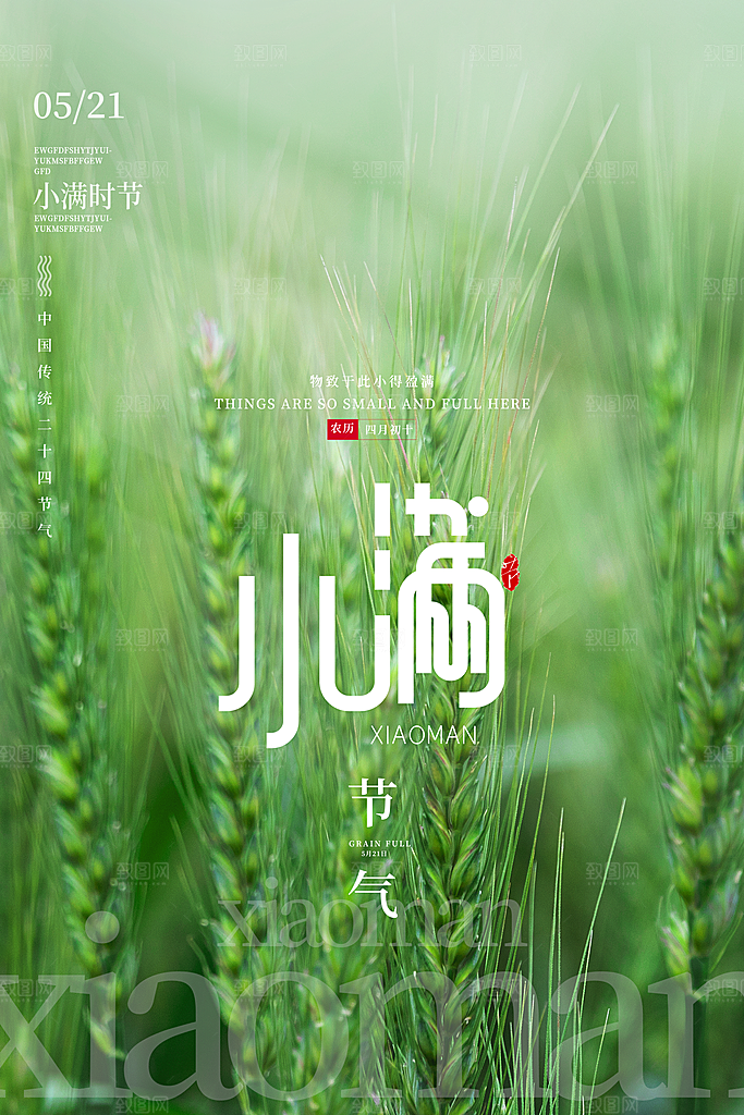 小满节气简约大气海报