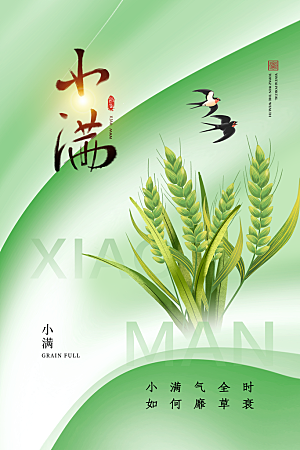 小满节气简约大气海报