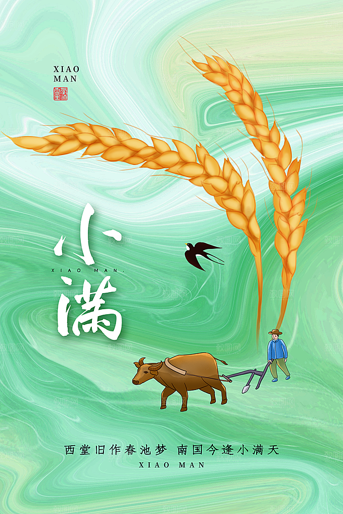 小满节气简约大气海报