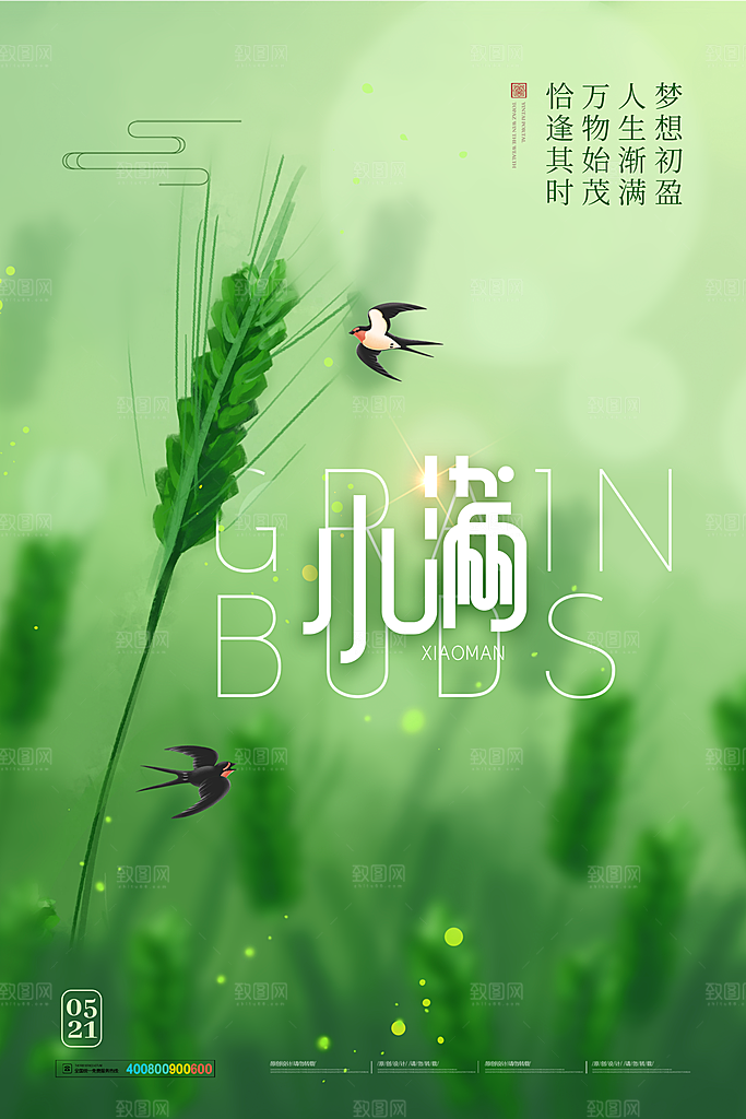 小满节气简约大气海报
