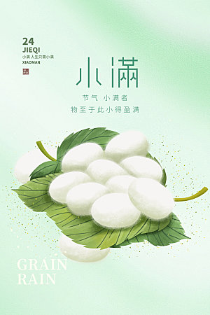 小满节气简约大气海报