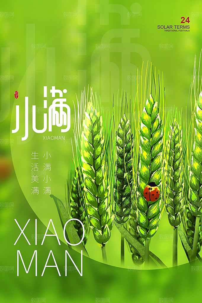传统节气小满海报模版