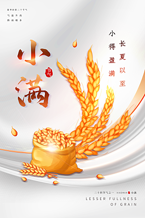 传统节气小满海报模版
