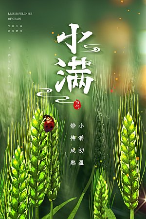 传统节气小满海报模版