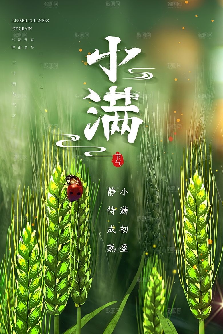 传统节气小满海报模版