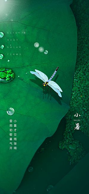 小暑节气简约大气海报