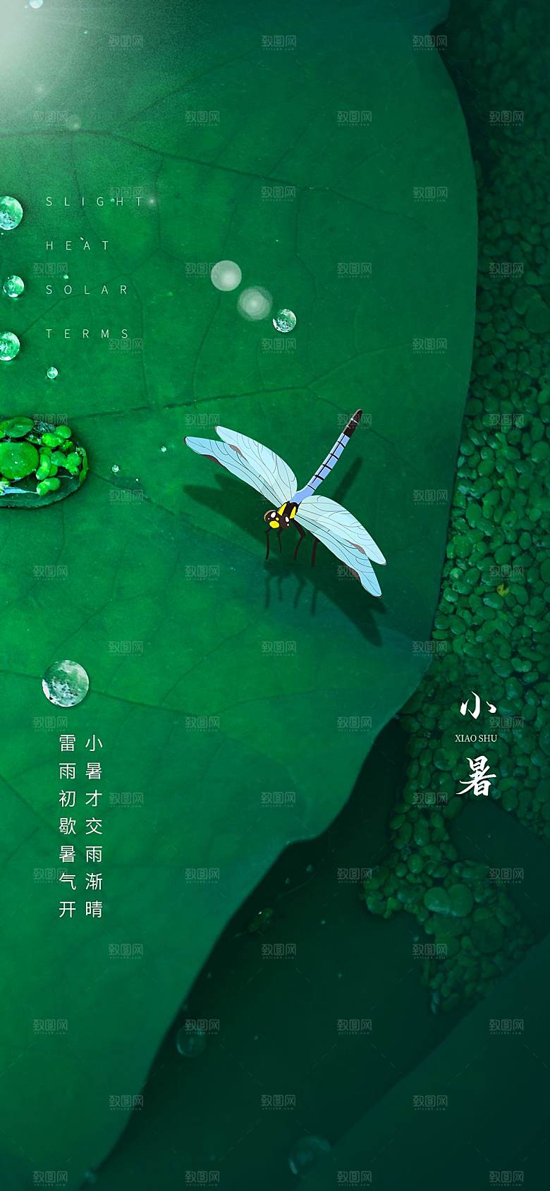 小暑节气简约大气海报