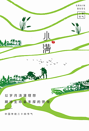 小满节气简约大气海报