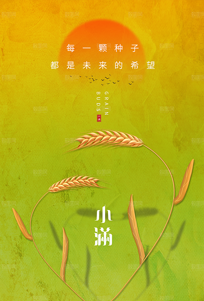 小满节气简约大气海报