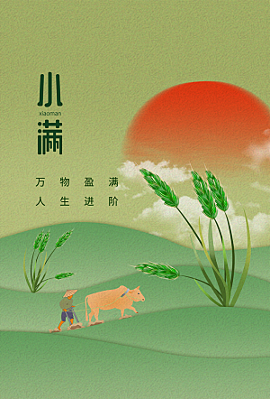 小满节气简约大气海报