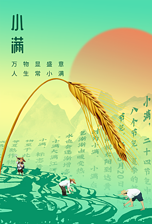 小满节气简约大气海报