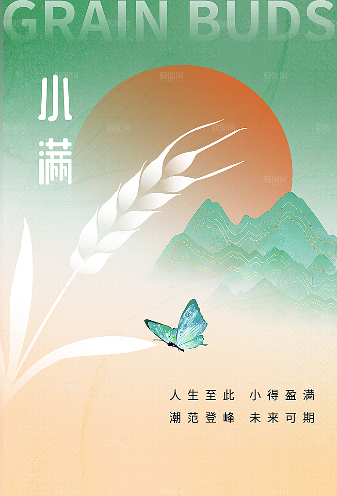 小满节气简约大气海报