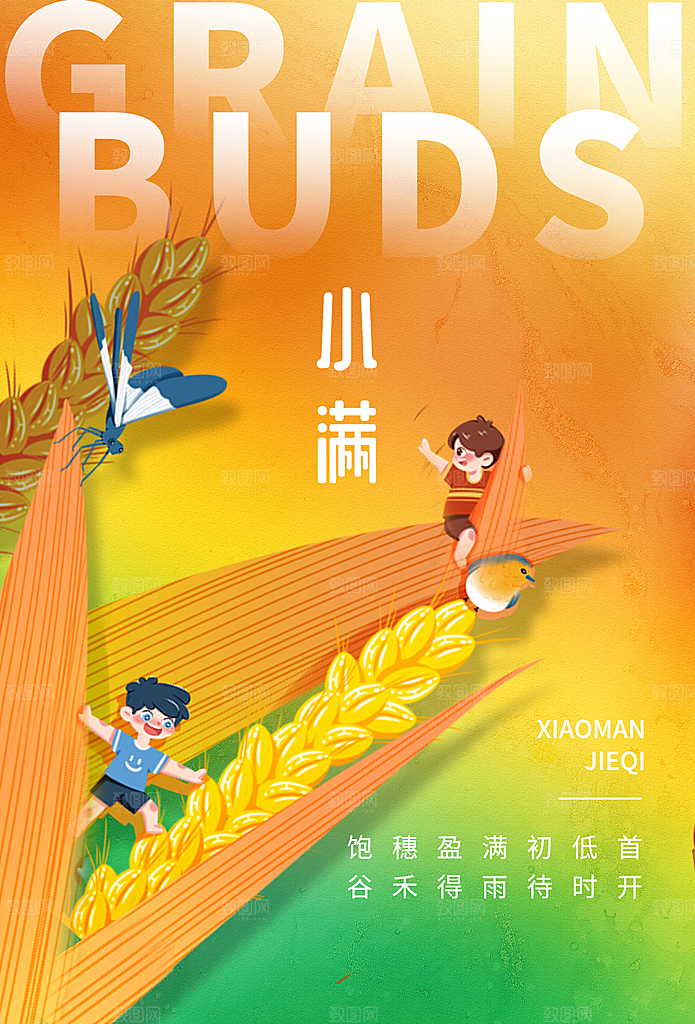 小满节气简约大气海报
