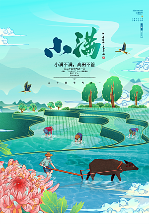 小满节气简约大气海报