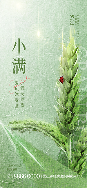 小满节气简约大气海报