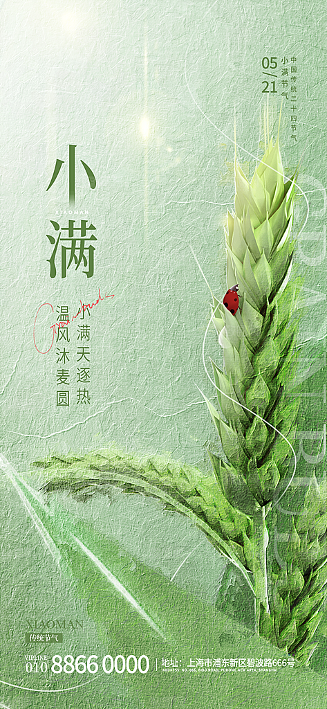 小满节气简约大气海报