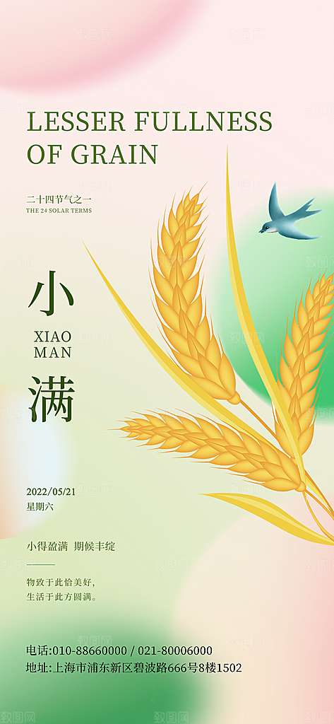 小满节气简约大气海报
