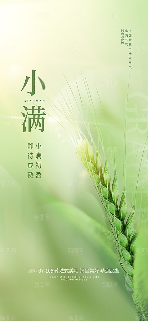 小满节气简约大气海报