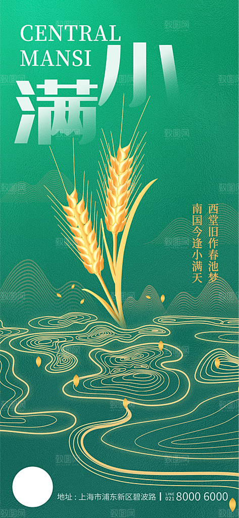 小满节气简约大气海报