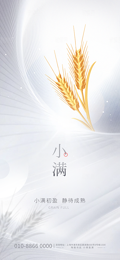 小满节气简约大气海报
