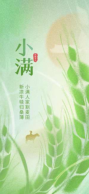 小满节气简约大气海报