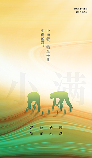 小满节气简约大气海报
