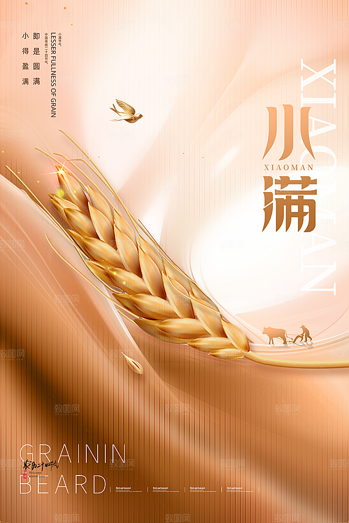 小满节气简约大气海报