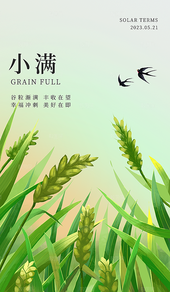 传统节气小满海报模版