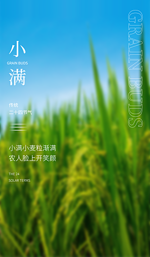 传统节气小满海报模版