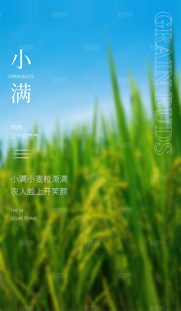 传统节气小满海报模版