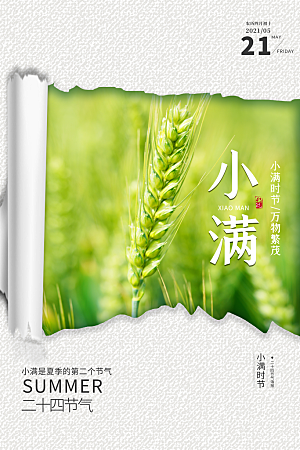 传统节气小满海报模版