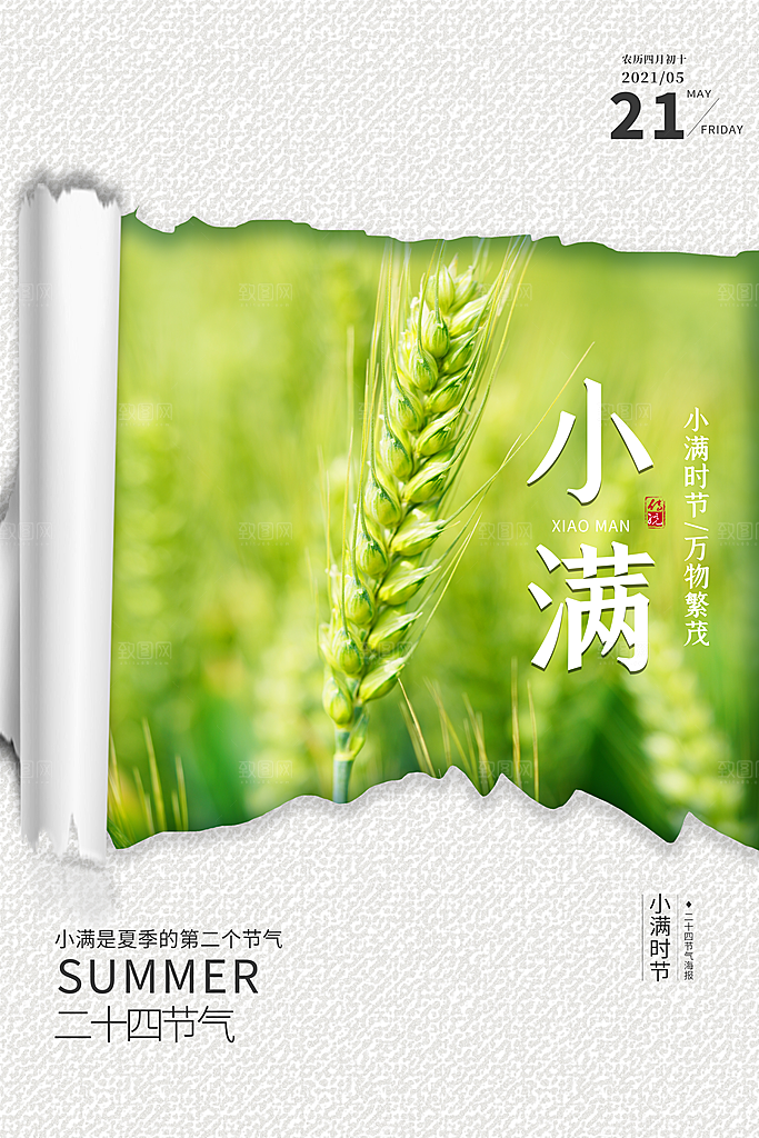 传统节气小满海报模版