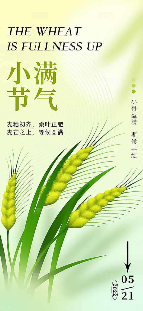 小满节气简约大气海报