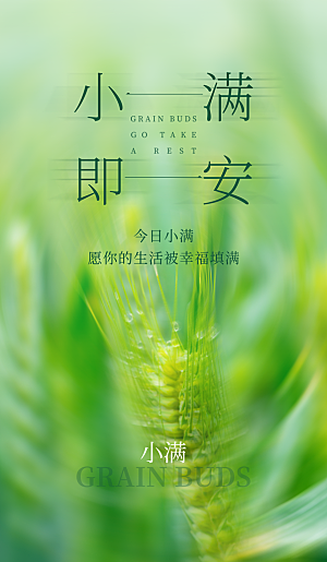 小满节气简约大气海报
