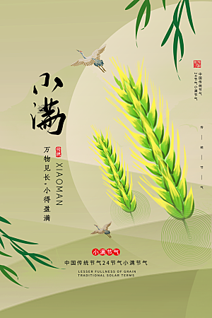 小满节气简约大气海报