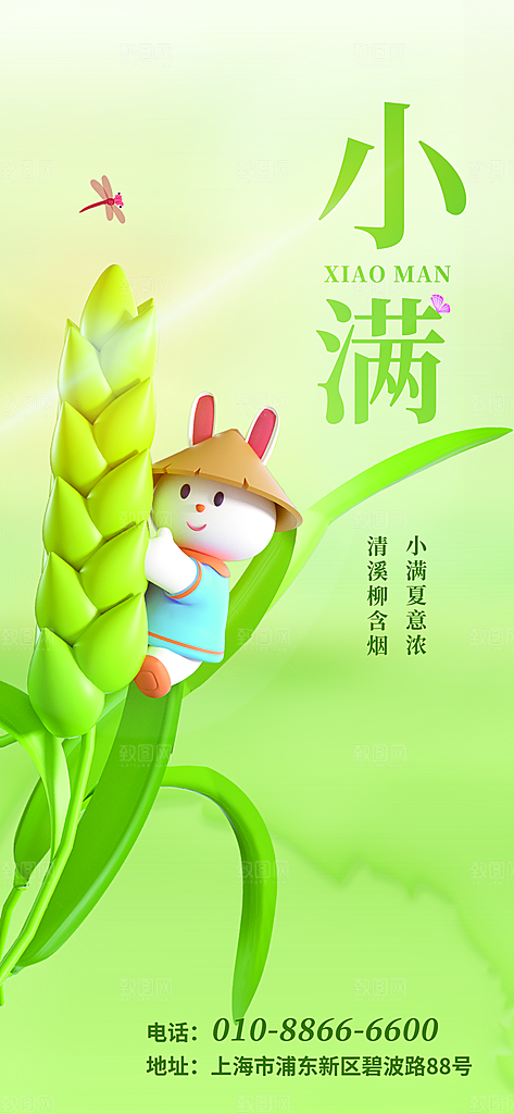 小满节气简约大气海报