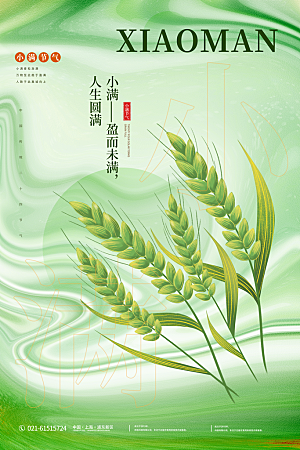 小满节气简约大气海报