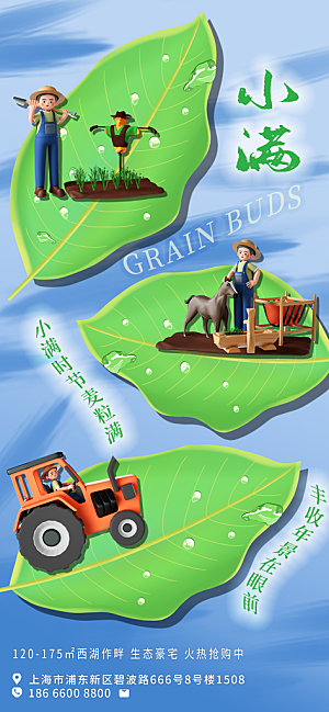 小满节气简约大气海报