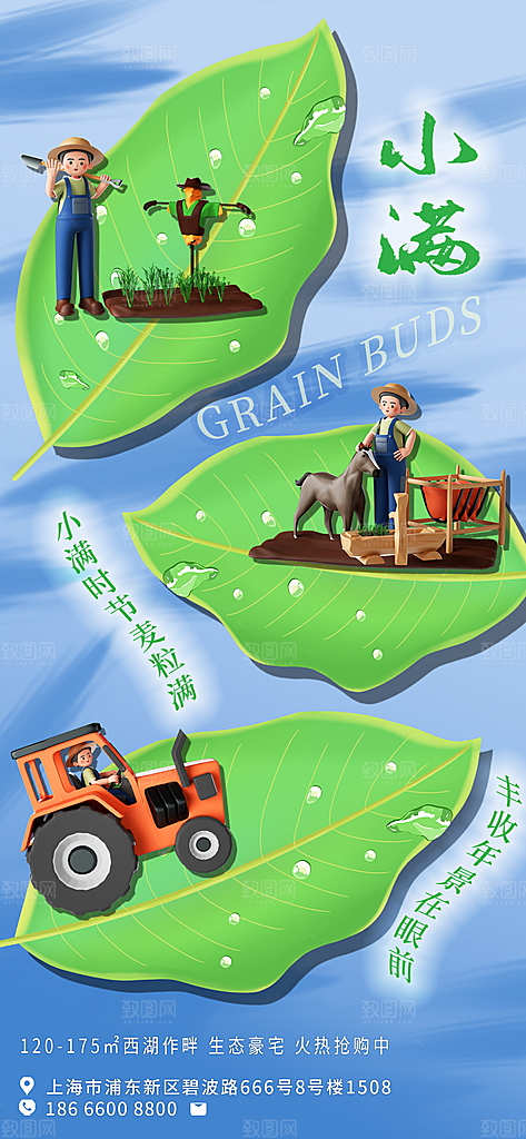 小满节气简约大气海报
