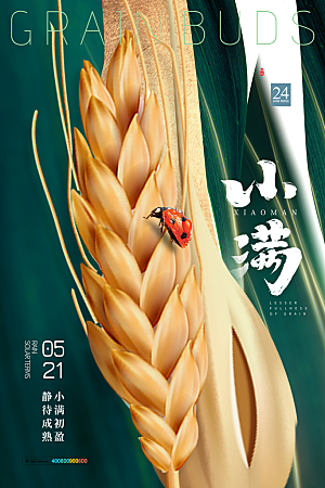 传统节气小满海报模版