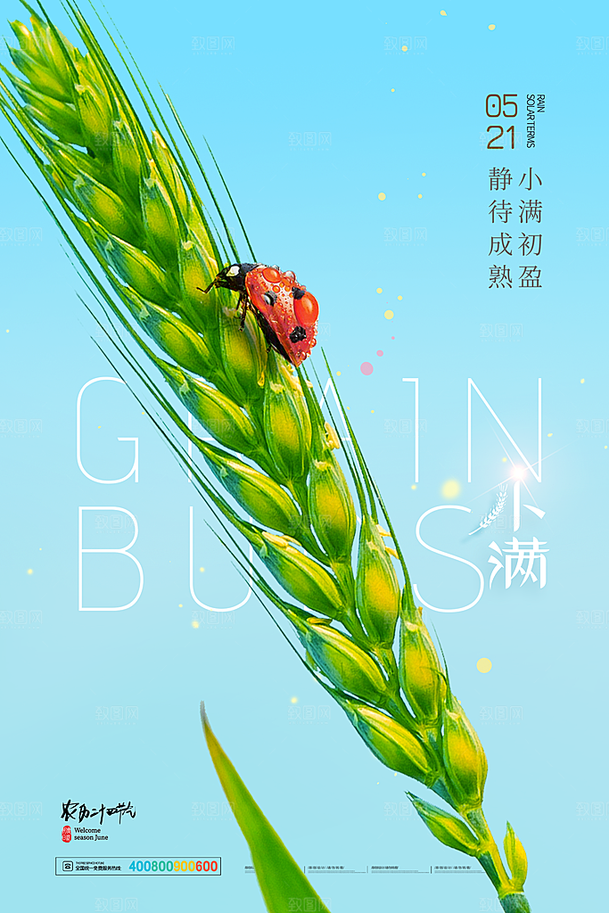 传统节气小满海报模版