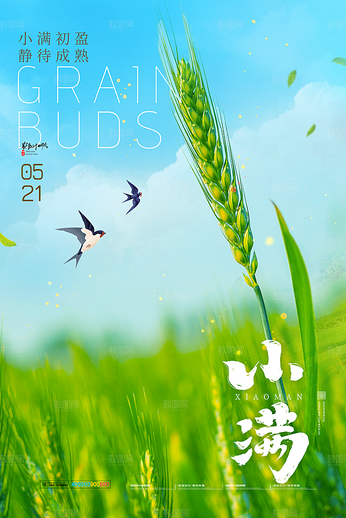 小满节气简约大气海报